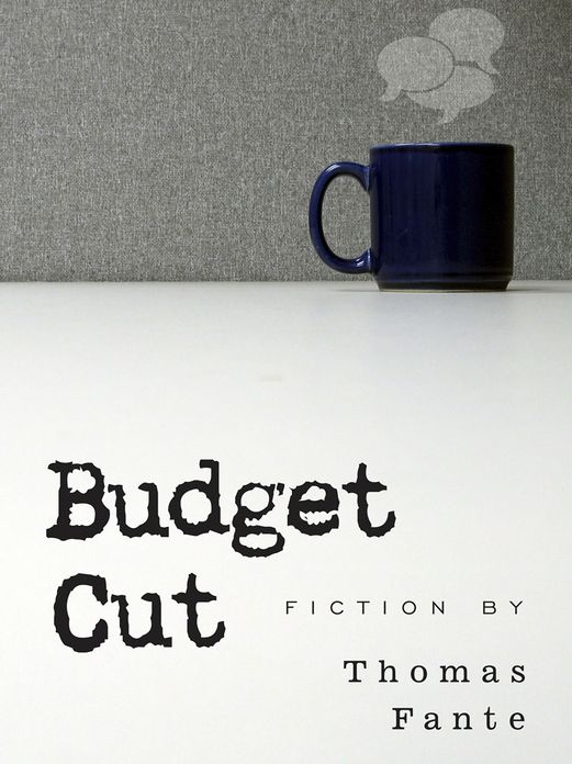 Budget Cut