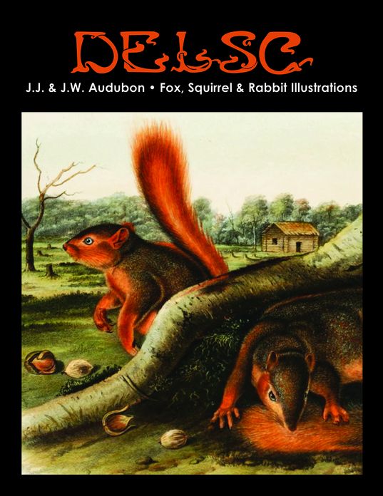 J.J. & J.W. Audubon - Fox, Squirrel & Rabbit Illustrations