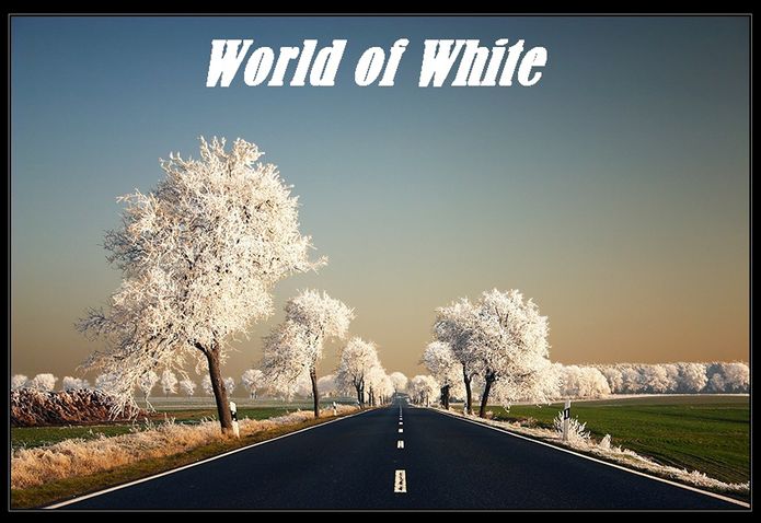 World History: World of White