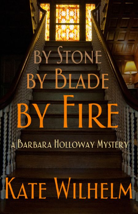 By Stone, by Blade, by Fire (Barbara Holloway Series #13)