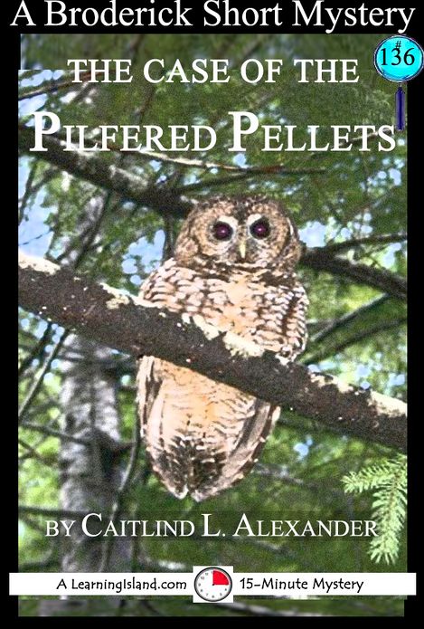 The Case of the Pilfered Pellets: A 15-Minute Broderick Mystery