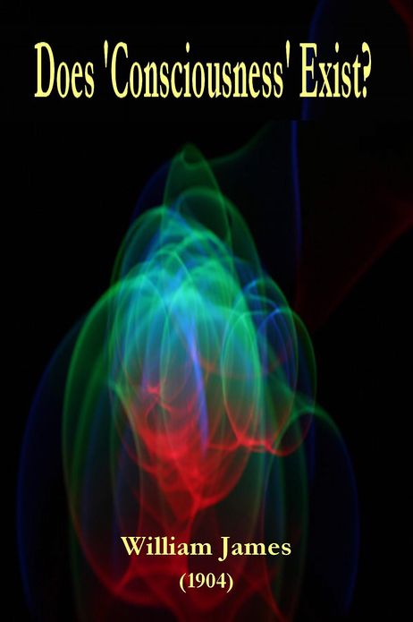 Does 'Consciousness' Exist?