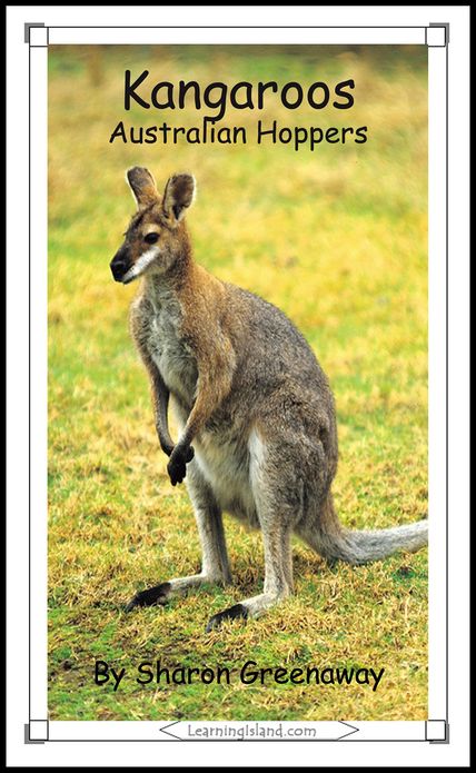 Kangaroos: Australian Hoppers