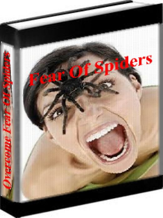 Fear Of Spiders - How To Overcome Your Fear Of Spiders