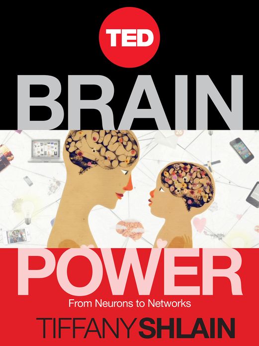 Brain Power: From Neurons to Networks