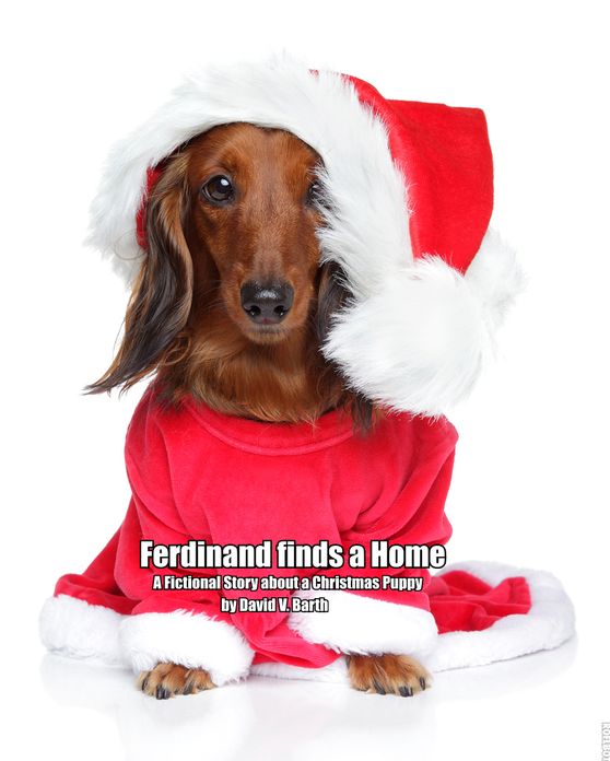 Ferdinand Finds a Home