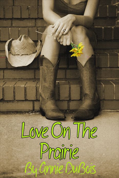 Love on the Prairie (Prairie Series)