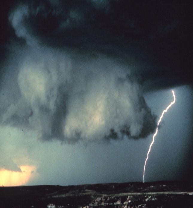 Rising Above Life's Turmoil