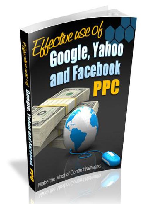 Effective use of Search Engines and PPC