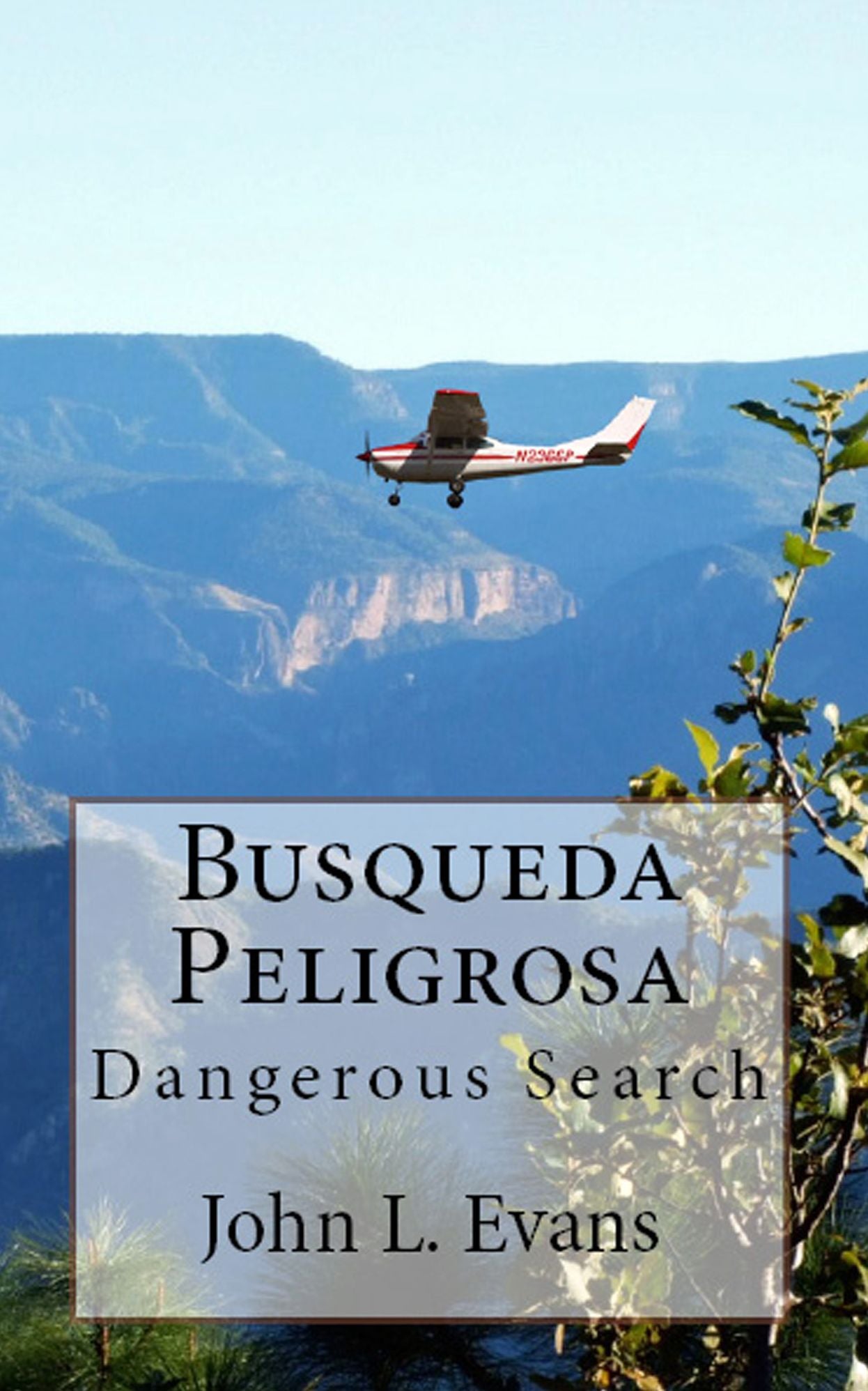Busqueda Peligrosa