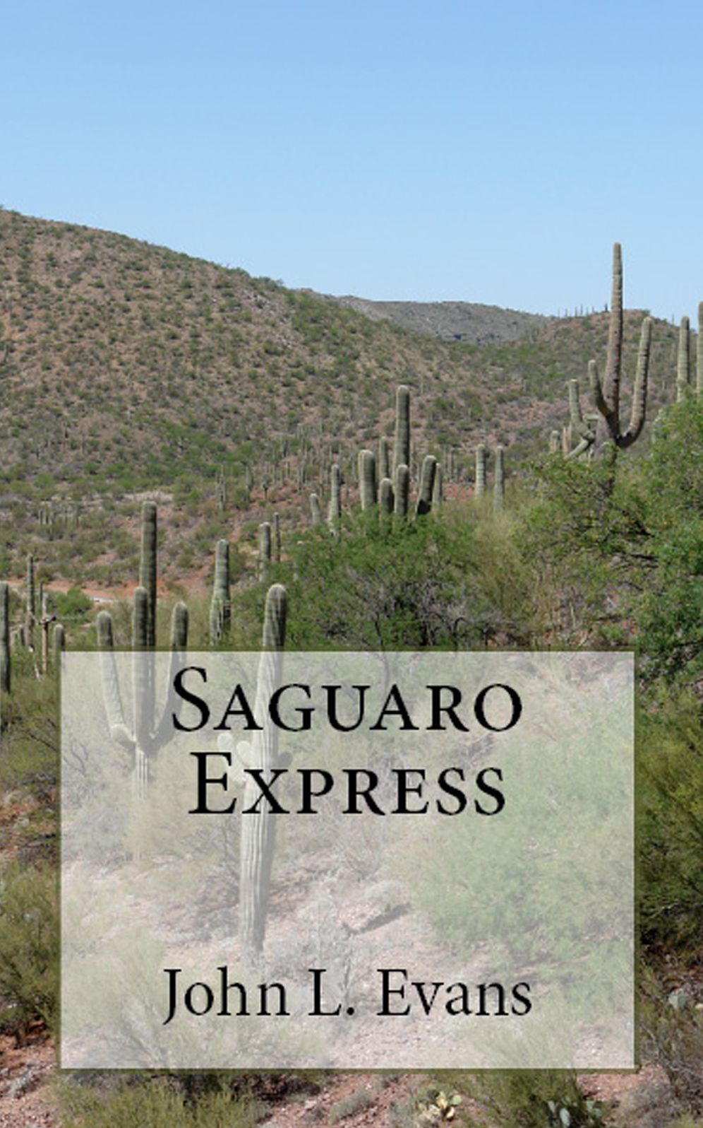 Saguaro Express