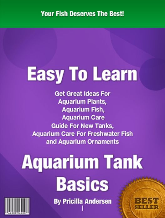 Easy To Learn Aquarium Tank Basics: Get Great Ideas For Aquarium Plants, Aquarium Fish, Aquarium Care Guide For New Tanks, Aquarium Care For Freshwater Fish and Aquarium Ornaments
