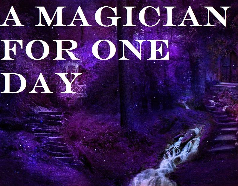 Magic: A Magician For One Day