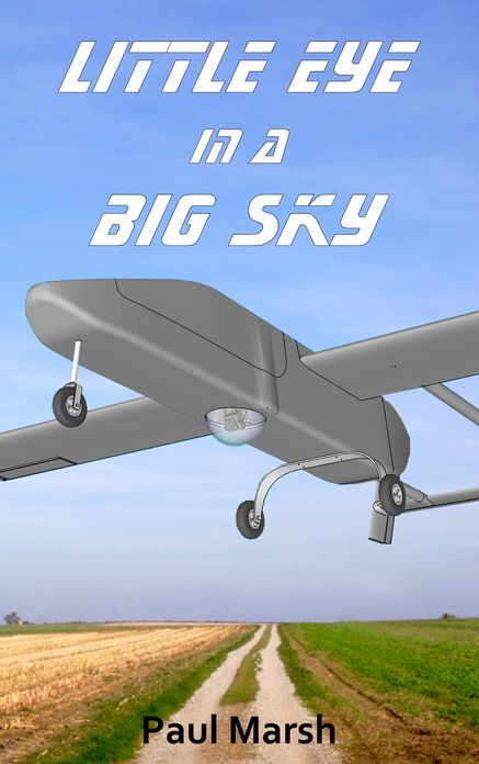 Little Eye in a Big Sky