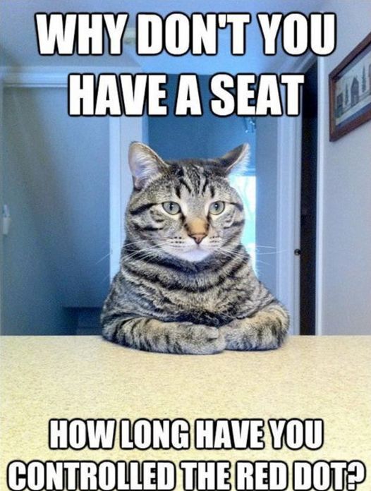 Animals: 99 Cent Red Dot Funny Animals