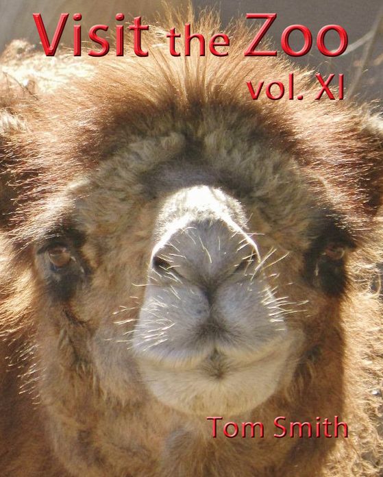 Visit the Zoo, vol. XI
