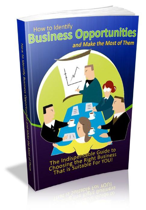 How to Identify Business Opportunities and Make the Most of Them