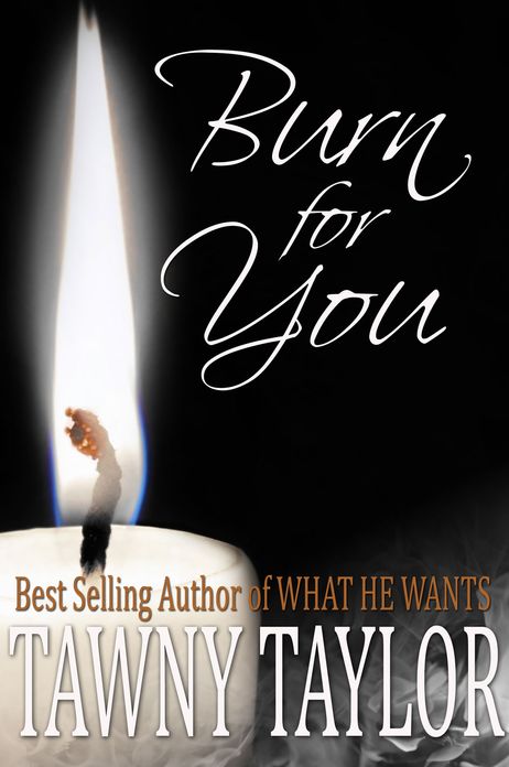 Burn For You, An Erotic Romance Novel