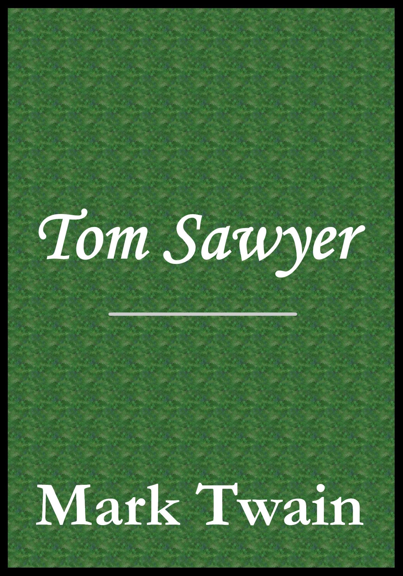 Tom Sawyer Book