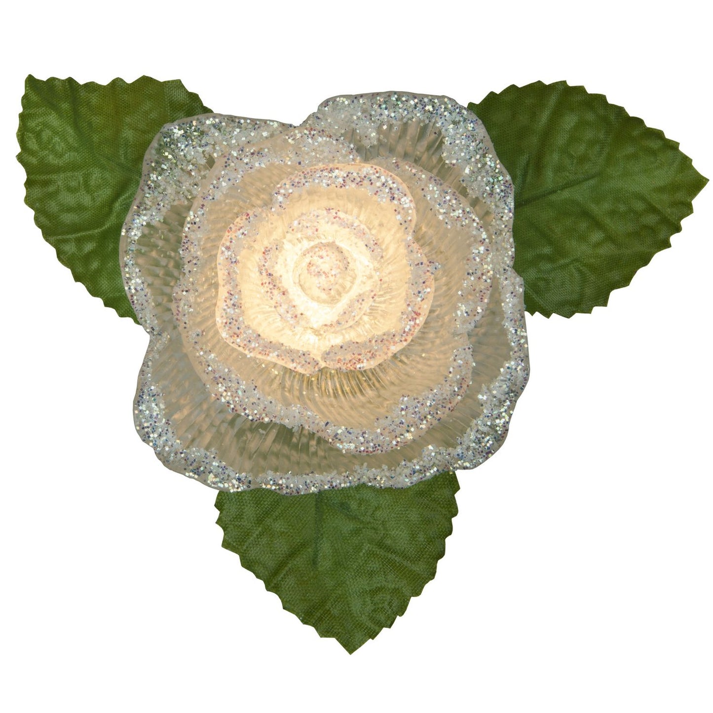 Andrew's Roses