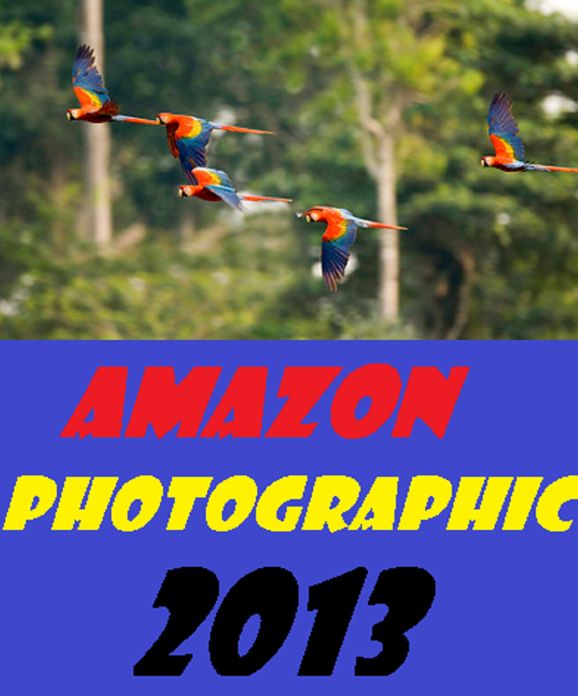 Photography: Amazon Photographic 2013