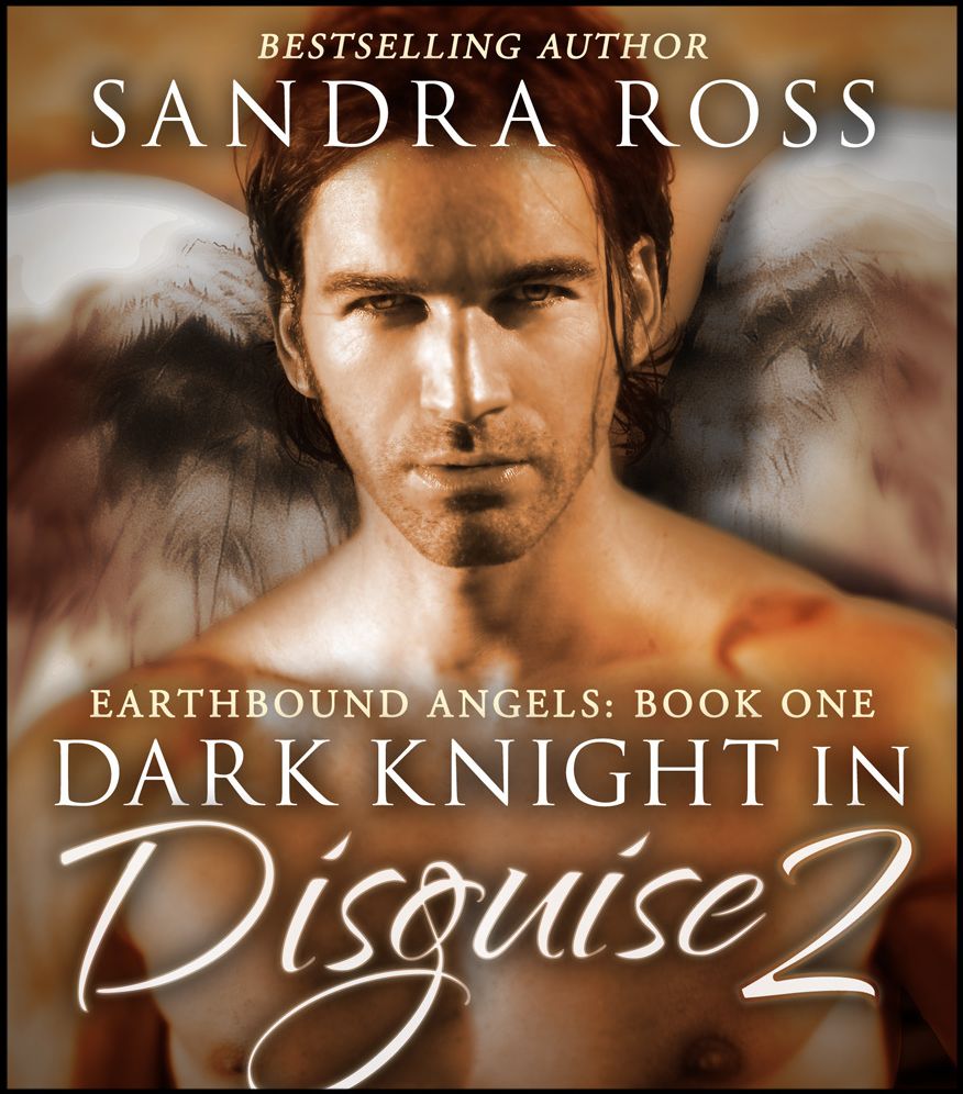 Dark Knight in Disguise II: Earthbound Angels 1