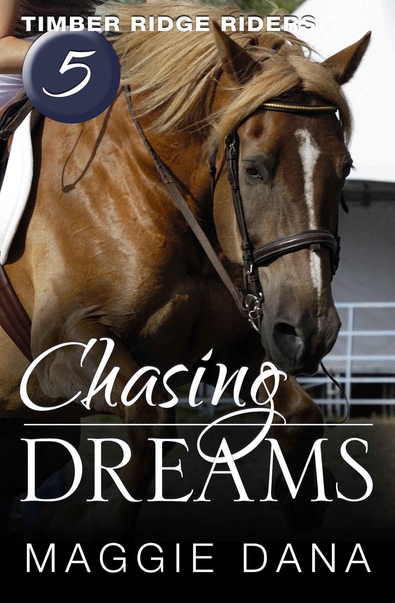 Chasing Dreams