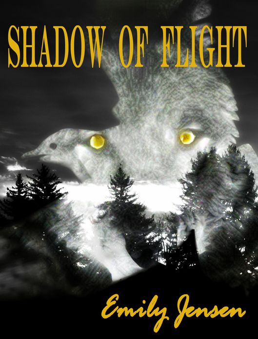 Shadow of Flight