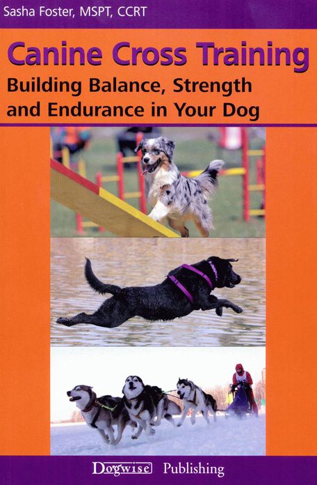 Canine Cross Training: Building Balance, Strength and Endurance in Your Dog