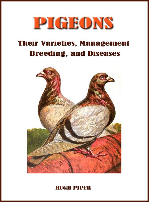 PIGEONS (Their Varieties, Management, Breeding, and Diseases)