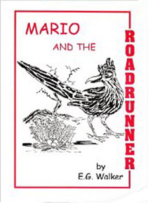 MARIO AND HE ROADRUNNER