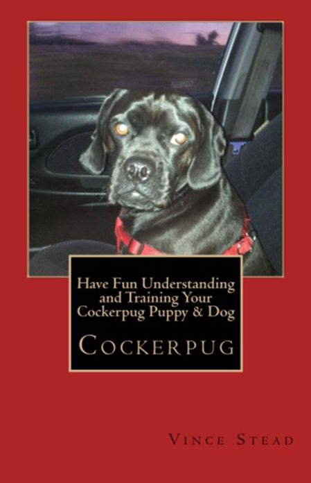 Have Fun Understanding and Training Your Cockerpug Puppy & Dog