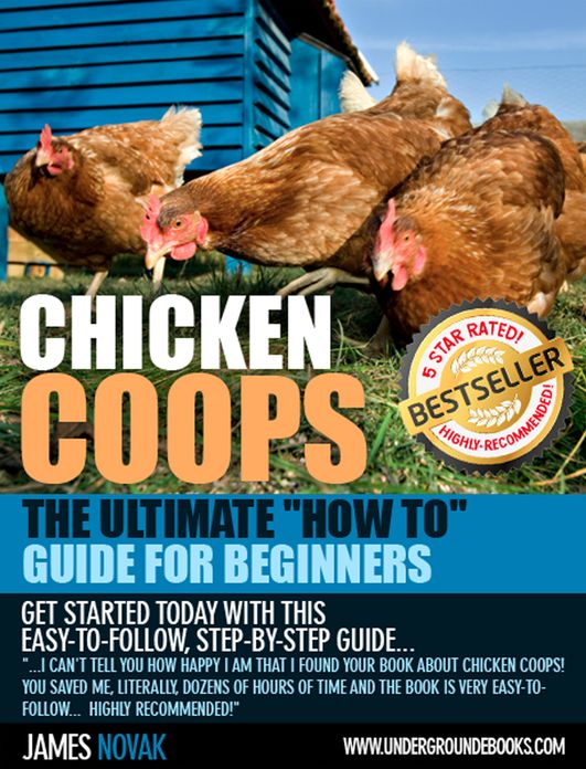Chicken Coops The Ultimate "How To" Guide for Beginners