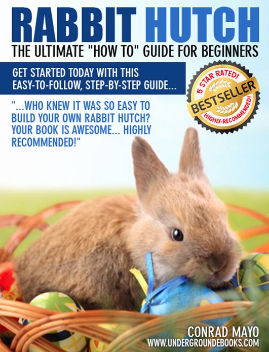 Rabbit Hutch The Ultimate "How To" Guide for Beginners