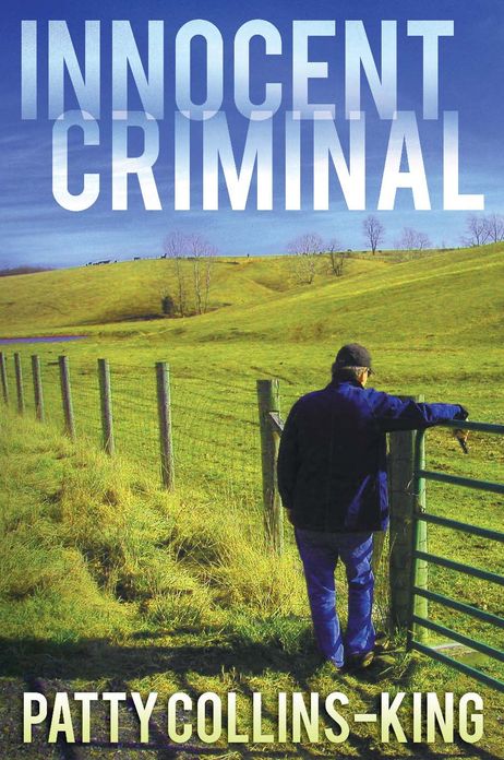 Innocent Criminal