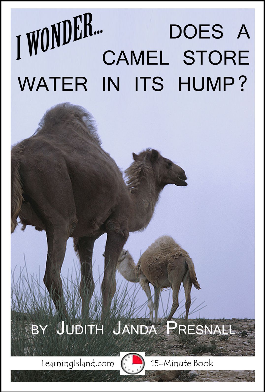 I Wonder… Does A Camel Store Water In Its Hump"