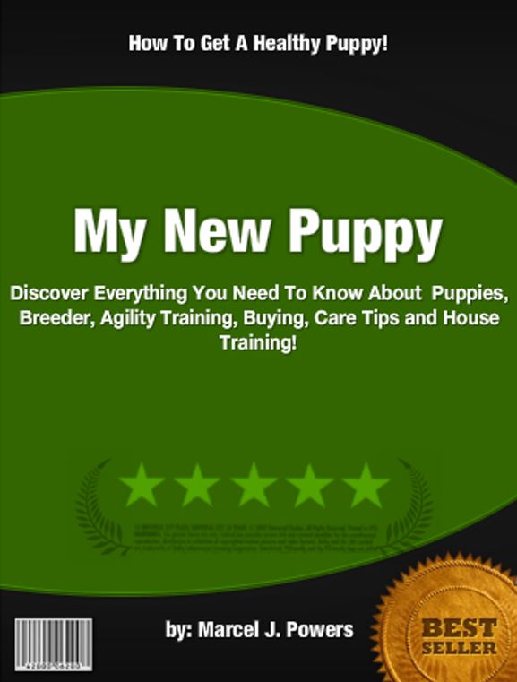 My New Puppy :Discover Everything You Need To Know About Puppies, Breeder, Agility Training, Buying, Care Tips and House Training!
