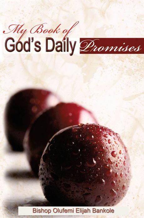 MY BOOK OF GOD'S DAILY PROMISES