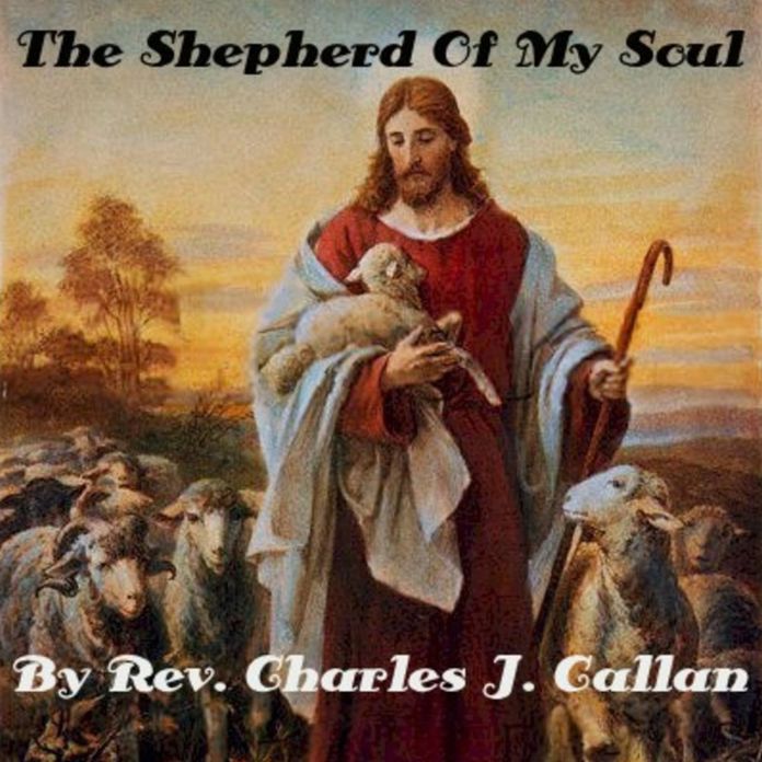 The Shepherd Of My Soul By Rev. Charles J. Callan (Illustrated)