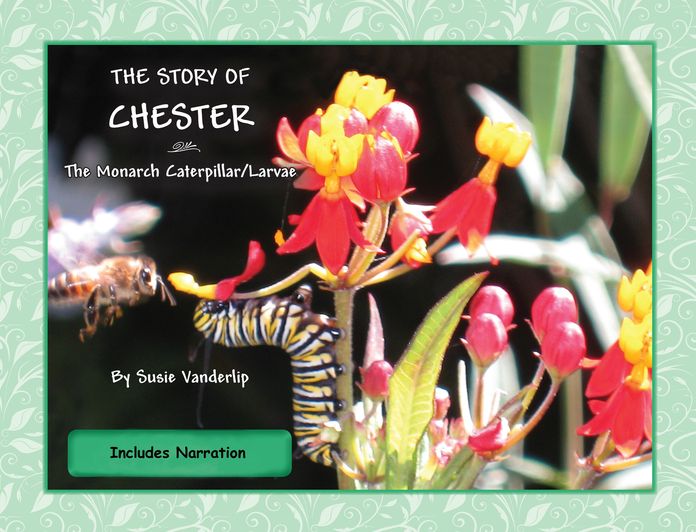 The Story of Chester, the Monarch Caterpillar/Larva