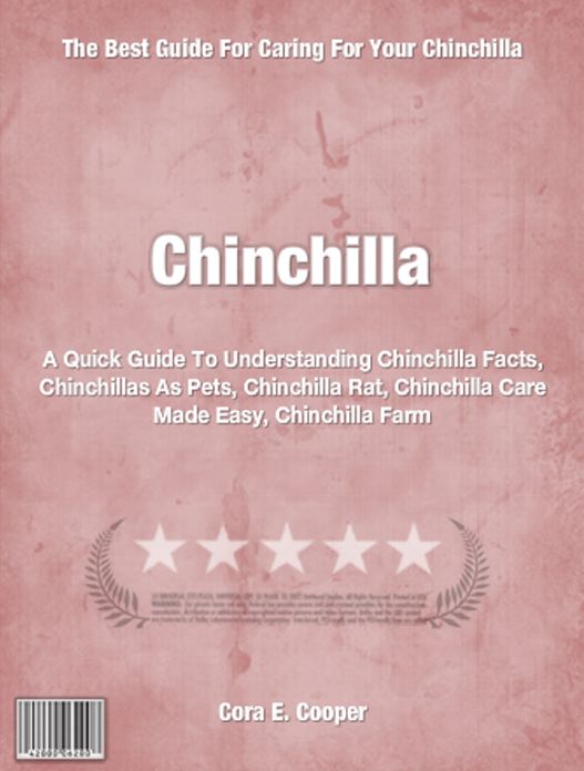 Chinchilla: A Quick Guide To Understanding Chinchilla Facts, Chinchillas As Pets, Chinchilla Rat, Chinchilla Care Made Easy, Chinchilla Farm