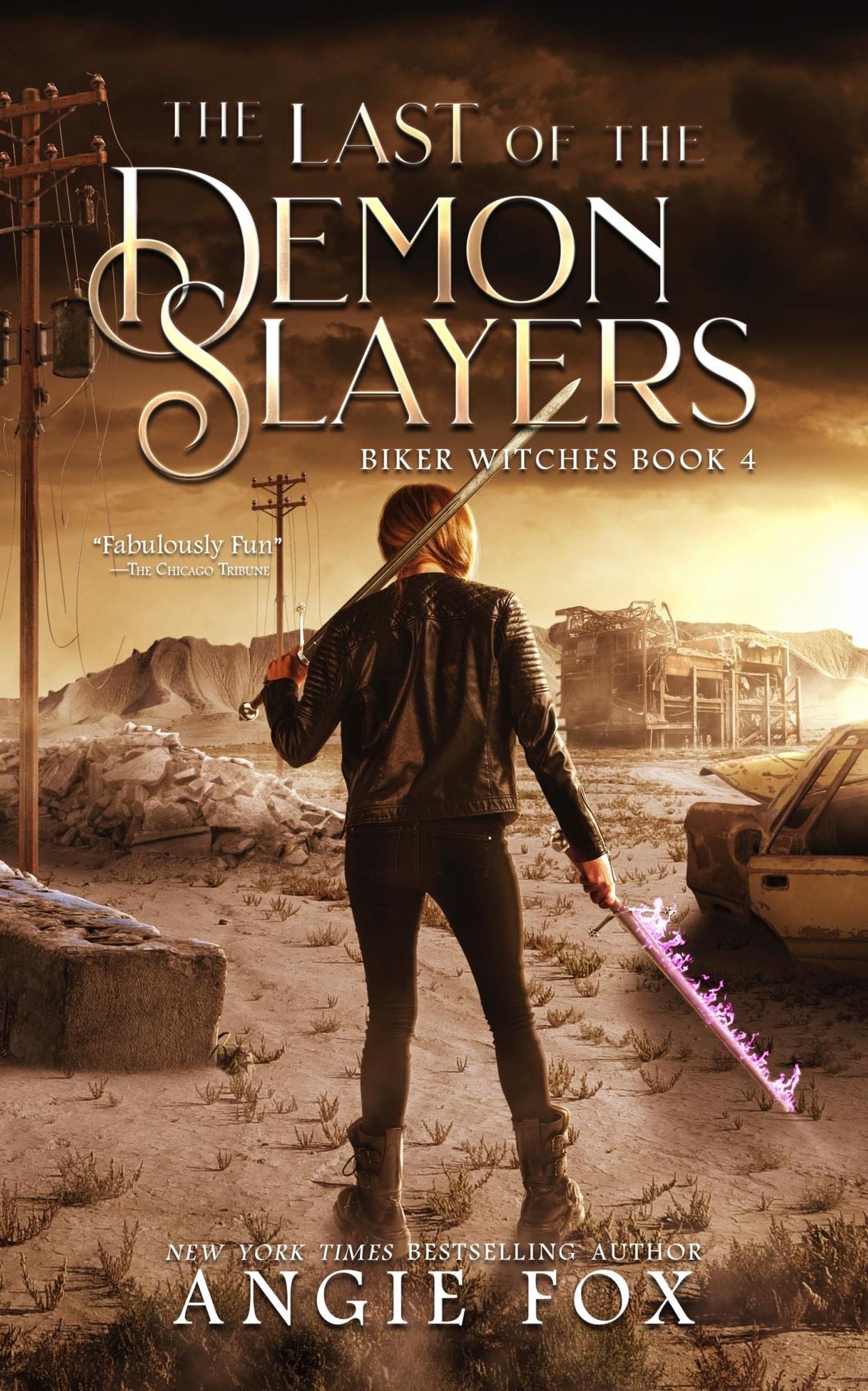 The Last of the Demon Slayers (Accidental Demon Slayer Series #4)