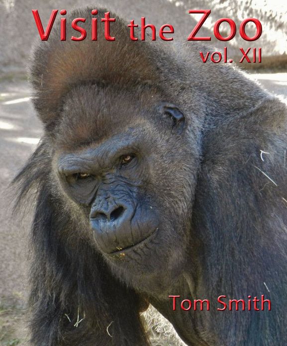 Visit the Zoo, vol. XII