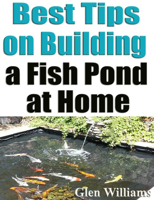 Best Tips on Building a Fish Pond at Home