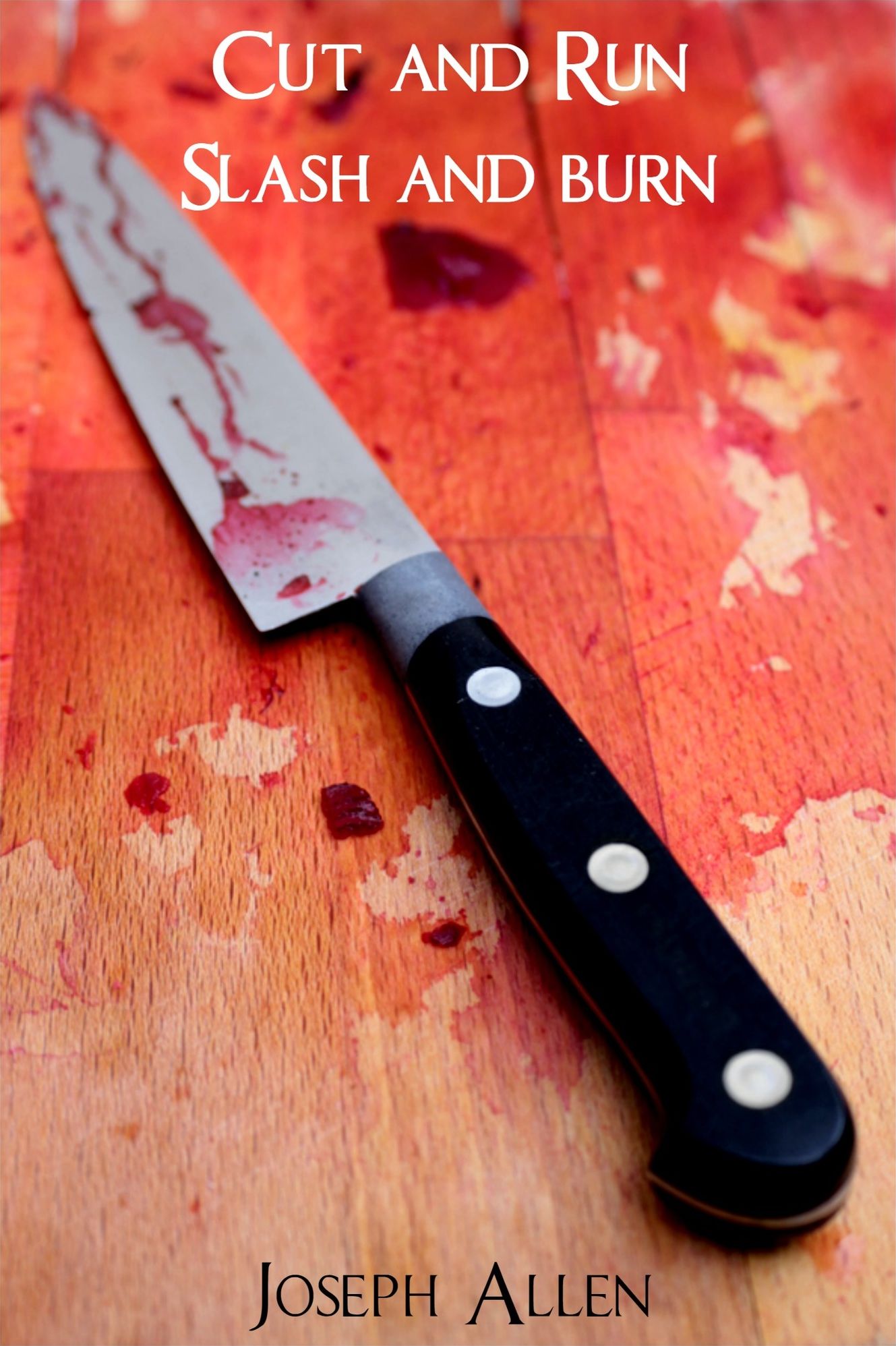 Cut and Run, Slash and Burn (thriller/suspense novel for Nook)