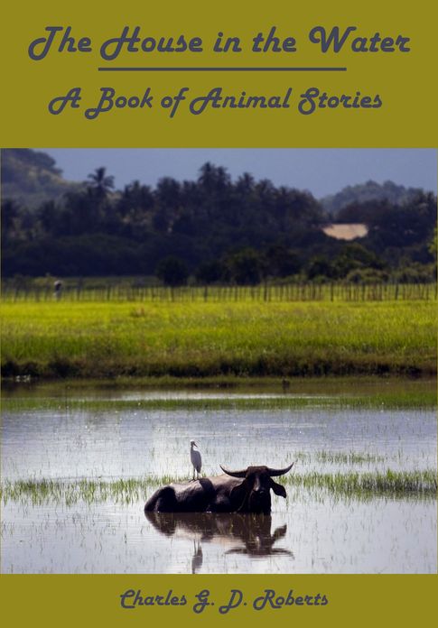 The House in the Water, A Book of Animal Stories (Illustrated)