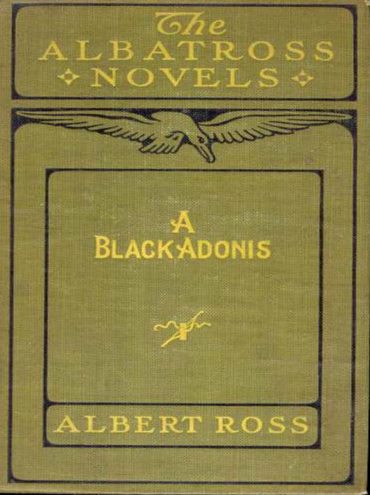 A Black Adonis: A Fiction and Literature, Romance, African-American Studies Classic By Linn Boyd Porter! AAA+++