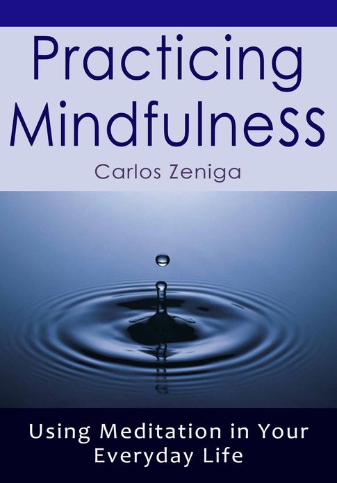 Practicing Mindfulness - Using Meditation in Your Everyday Life