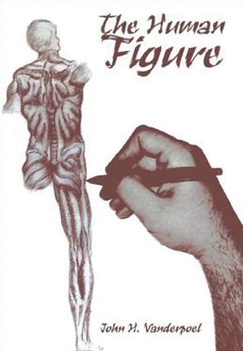 The Human Figure