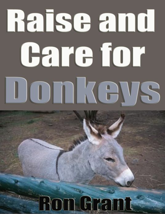Raise and Care for Donkeys